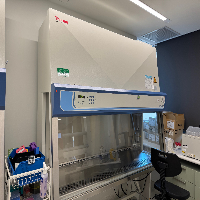 Thermo Safe 2020 6' BioSafety Cabinet image 0